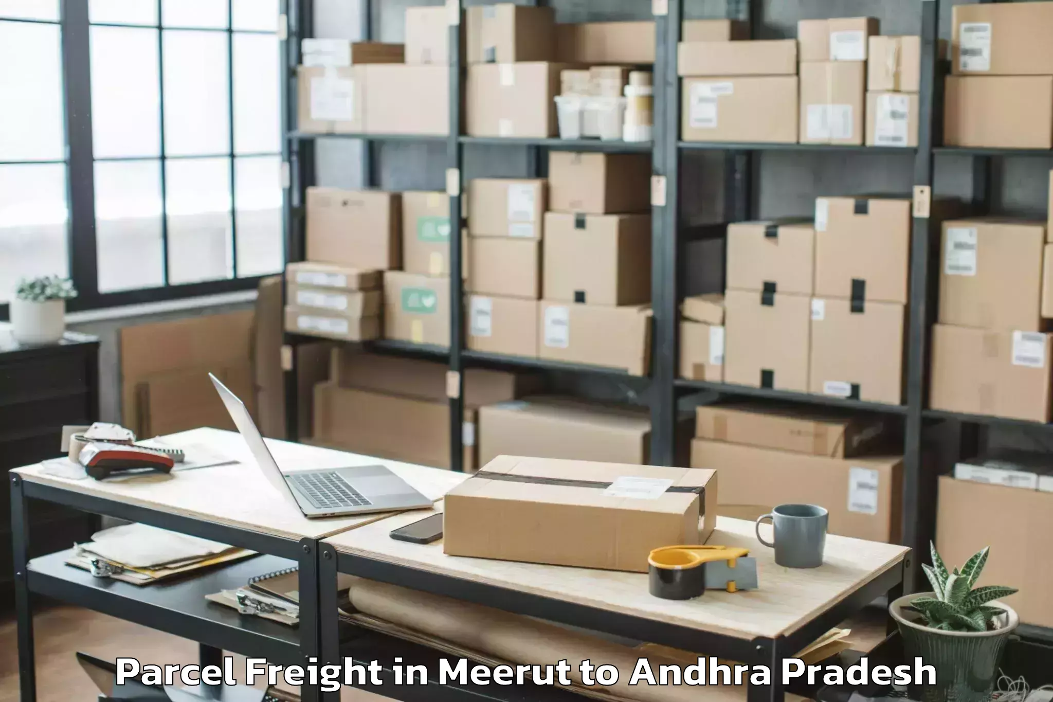 Trusted Meerut to Tallapudi Parcel Freight